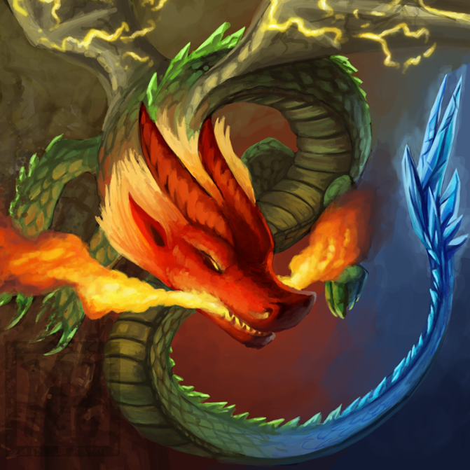 a dragon